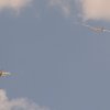 Flugtage-2018