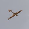 Flugtage-2018