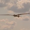 Flugtage-2018