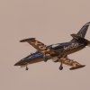 Flugtage-2018