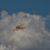 Flugtage-2019