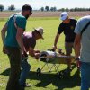 Flugtag_2023