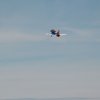 Flugtag_2023
