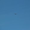 Flugtag_2023