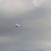 Flugtag_2023