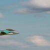 Flugtag_2023