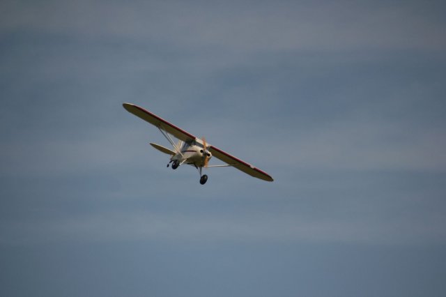 IMG_0519
