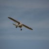 IMG_0519