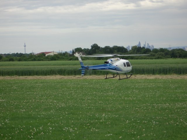 Ecureuil AS 350 B3 (Harald)